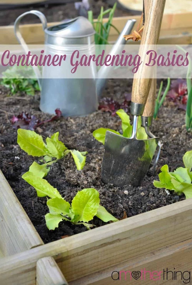 Container Gardening Basics | It's a Mother Thing