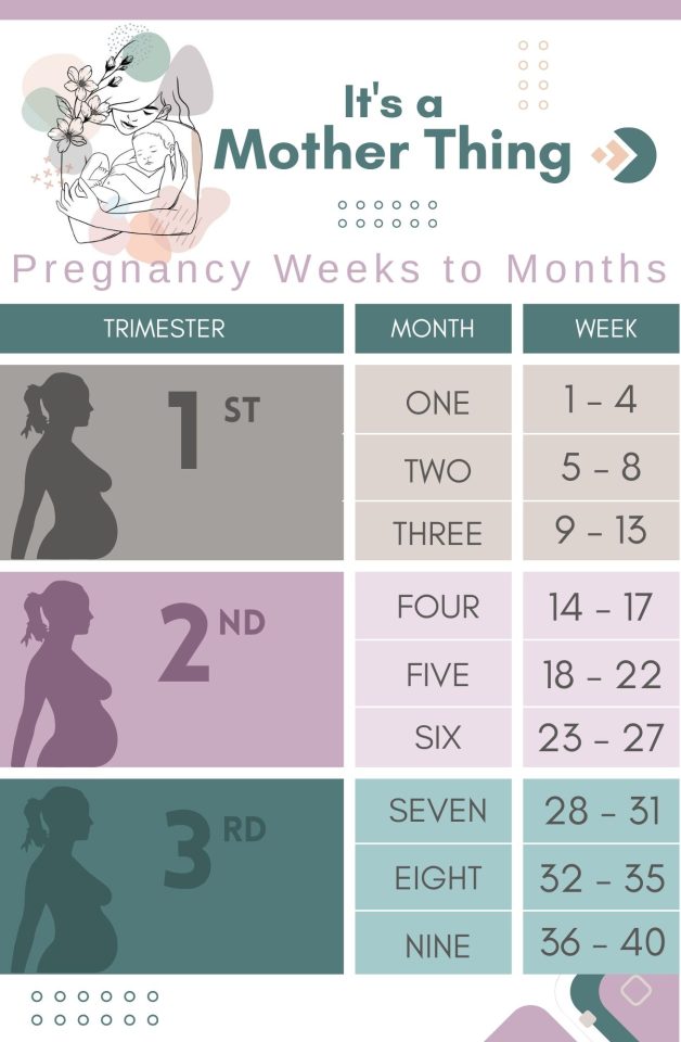Picture of Image result for Pregnancy and Tylenol usage limits