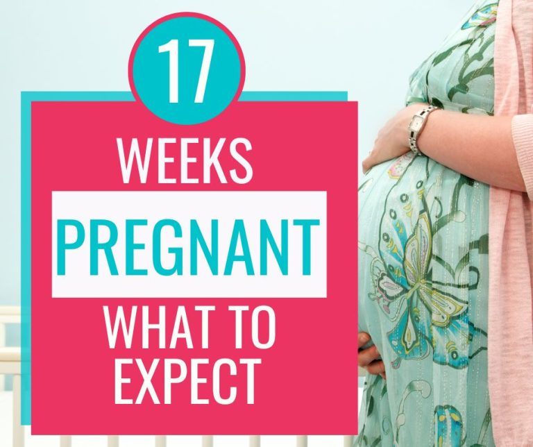17 Weeks Pregnant
